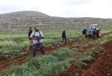 مستوطنون يهاجمون بلدة ترمسعيا