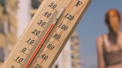 أكثر من 1000 حالة وفاة: إسبانيا تسجّل درجات حرارة قياسية