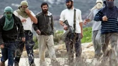 مستوطنون يهاجمون فرعتا ويحرقون منشأة ومنزلين وأراضي زراعية ويصيبون مواطنين مستوطنون