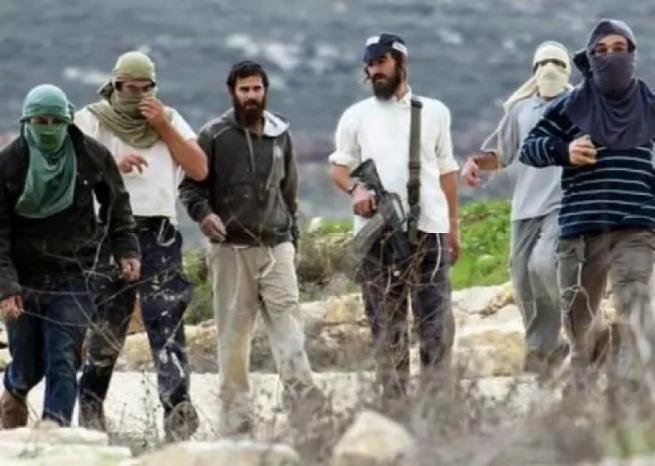 مستوطنون يدمرون شبكة المياه في المنية جنوب شرق بيت لحم مستوطنون