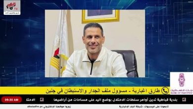 الاحتلال يستولي على 200 دونم من أراضي محافظة جنين