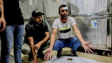 استشهاد 4 أفراد من عائلة واحدة في قصف الاحتلال منزلا في دير البلح