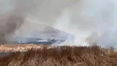 إصابتان برصاص الاحتلال في بلدة بيت فوريك شرق نابلس