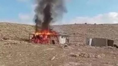 الاحتلال يتسبب في حرائق بمناطق رعوية في الأغوار الشمالية الاحتلال يتسبب في حرائق بمناطق رعوية في الأغوار الشمالية