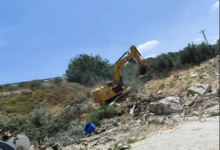 الاحتلال يقتلع عشرات أشجار الزيتون من أراضي مادما بنابلس
