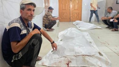 7 شهداء و20 مصابا بنيران الاحتلال في غزة