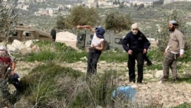 مستوطنون يهاجمون قرية المغير شمال شرق رام الله