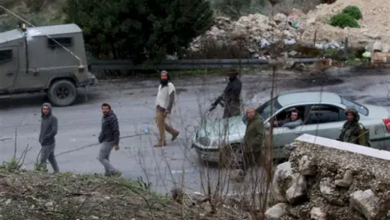 جنين: مستوطنون يهاجمون قرية المغير