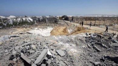 3.5 مليار دولار خسائر: دمار غير مسبوق يضرب زراعة غزة بفعل حرب الإبادة