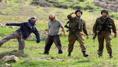 مستوطنون يهاجمون منطقة قماص جنوب نابلس
