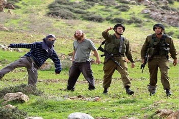 مستوطنون يهاجمون منطقة قماص جنوب نابلس مستوطنون يهاجمون منطقة قماص جنوب نابلس