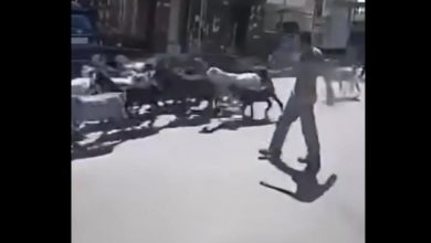 مستوطنون بحماية قوات الاحتلال يهاجمون بلدتي دير إبزيع وعين عريك غرب رام الله