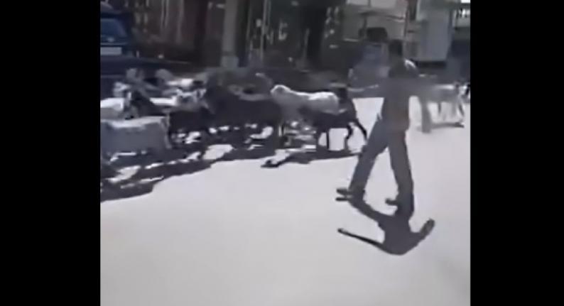 مستوطنون بحماية قوات الاحتلال يهاجمون بلدتي دير إبزيع وعين عريك غرب رام الله مستوطنون بحماية قوات الاحتلال يهاجمون بلدتي دير إبزيع وعين عريك غرب رام الله