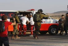 مستوطنون يهاجمون أهالي صوريف ويصيبون مسناً بجروح ويُتلفون أشجاراً مثمرة جنوب يطا