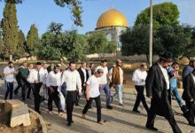 محافظة القدس: منظمات "الهيكل" تستعد لفرض أكبر اقتحام للمسجد الأقصى فيما تسمى "ذكرى خراب الهيكل"