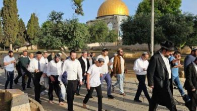 محافظة القدس: منظمات "الهيكل" تستعد لفرض أكبر اقتحام للمسجد الأقصى فيما تسمى "ذكرى خراب الهيكل" محافظة القدس: منظمات "الهيكل" تستعد لفرض أكبر اقتحام للمسجد الأقصى فيما تسمى "ذكرى خراب الهيكل"