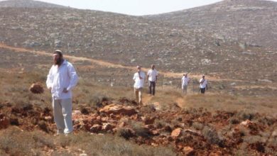 مستوطنون يسيجون أراضي في الأغوار الشمالية مستوطنون يسيجون أراضي في الأغوار الشمالية