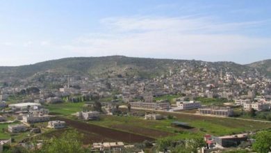 الاحتلال يصدر أوامر بوضع اليد على أكثر من 22 دونماً من أراضي عرابة وقباطية