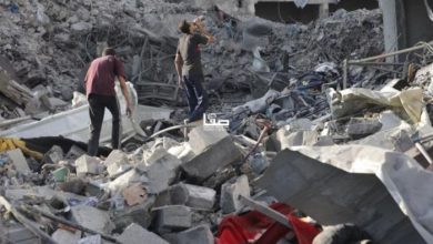 الضمير: 147 شهيدًا بغزة خلال يوليو جراء استمرار استهداف المدنيين