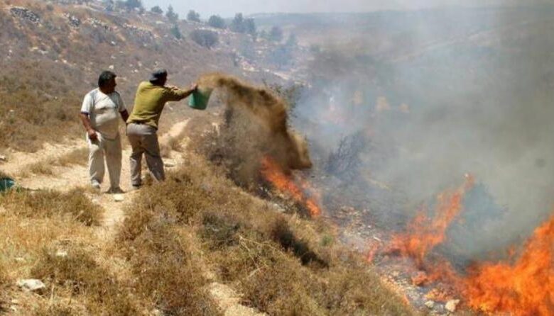 هيئة الجدار: المستوطنون أشعلوا 799 حريقا في الضفة حتى تموز الماضي