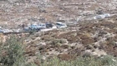 قوات الاحتلال تداهم منشأة في قرية مركة جنوب غربي جنين