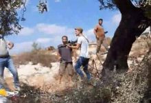 مستوطنون يحاولون اختطاف طفل في قرية المغير شمال شرق رام الله
