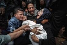 الصحة في غزة: 7 شهداء و23 مصابًا وصلوا مشافي غزة خلال 24 ساعة