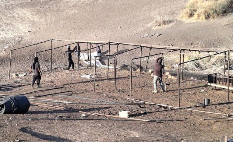 مستوطنون يسيّجون أراضي في الأغوار الشمالية مستوطنون