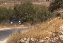5 إصابات في هجوم للمستوطنين على مركبة بين المغير وأبو فلاح شمال شرق رام الله