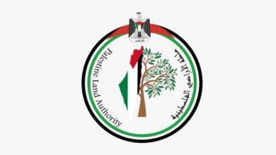 سلطة الأراضي تستكمل إجراءات تعليق جداول الحقوق لـ85 حوضاً في ثماني محافظات