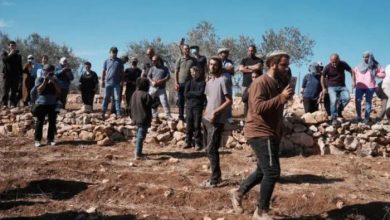 مستوطنون يهاجمون قرية المغير شمال شرق رام الله