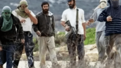 مستوطنون يهاجمون منزلا في مادما جنوب نابلس
