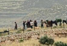 إصابات واعتداءات للمستوطنين في ياسوف ويطا
