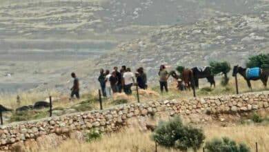 إصابات واعتداءات للمستوطنين في ياسوف ويطا