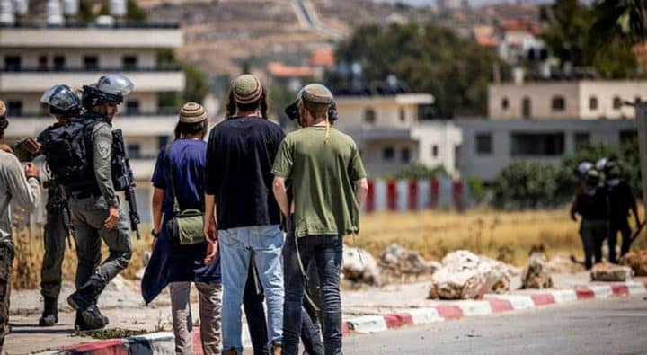 مستوطنون يهاجمون منازل مواطنين في بيتا