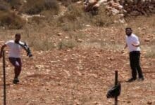 مستوطنون يسيّجون أراضي قرب بؤرة استيطانية جنوب بيت لحم