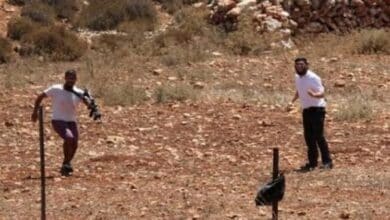 مستوطنون يسيّجون أراضي قرب بؤرة استيطانية جنوب بيت لحم