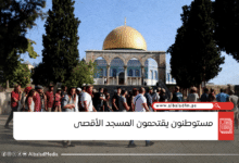 240 مستوطنا يقتحمون المسجد الأقصى بحماية شرطة الاحتلال