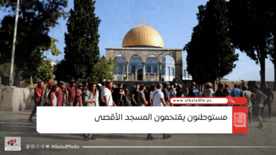 240 مستوطنا يقتحمون المسجد الأقصى بحماية شرطة الاحتلال