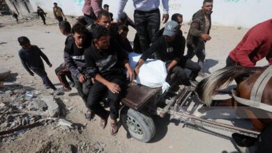 73,919 شهيدا و174,977 مصابا منذ بدء العدوان على قطاع غزة