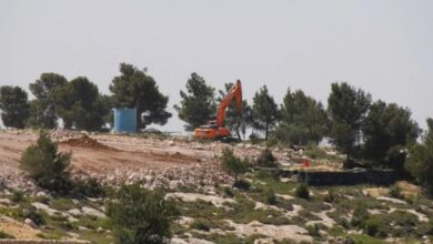 الاحتلال يستولي على 7 دونمات ونصف من أراضي قباطية بجنين