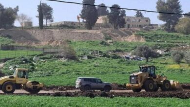 الاحتلال يواصل تجريف أراضي واد دعوق واقتلاع أشجار الزيتون جنوب جنين