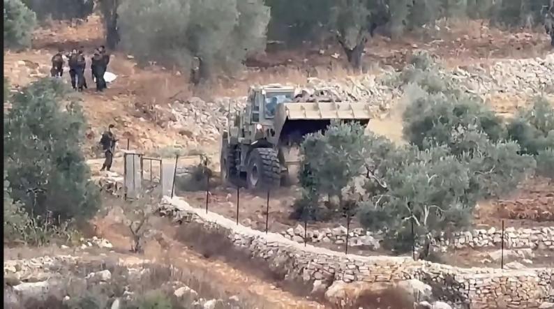 الاحتلال يقتلع أكثر من 400 شجرة زيتون في بيت ريما