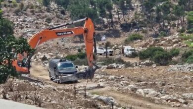الاحتلال يصدر أمرين عسكريين بإزالة أشجار على مساحة 307 دونمات في جنين