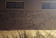 مستوطنون يسرقون ثمار زيتون في سنجل وترمسعيا ويحرقون مركبة في دير أبو مشعل