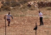 مستوطنون مستوطنين
