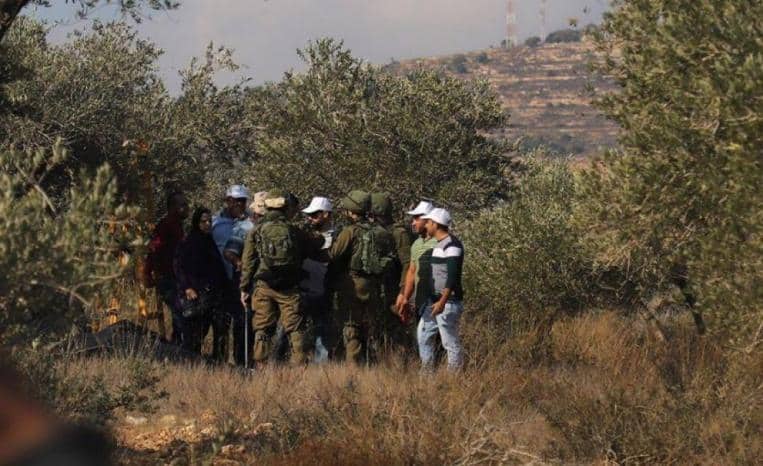 مستوطنون يمنعون مزارعين من قطف الزيتون في ديراستيا