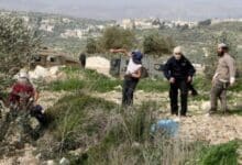 رام الله: مستوطنون يعتدون على مزارعين في بيت عور التحتا بحماية قوات الاحتلال
