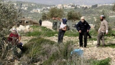 رام الله: مستوطنون يعتدون على مزارعين في بيت عور التحتا بحماية قوات الاحتلال