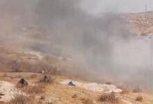مستوطنون يحرقون نحو 55 شجرة زيتون في بلدة أبو ديس